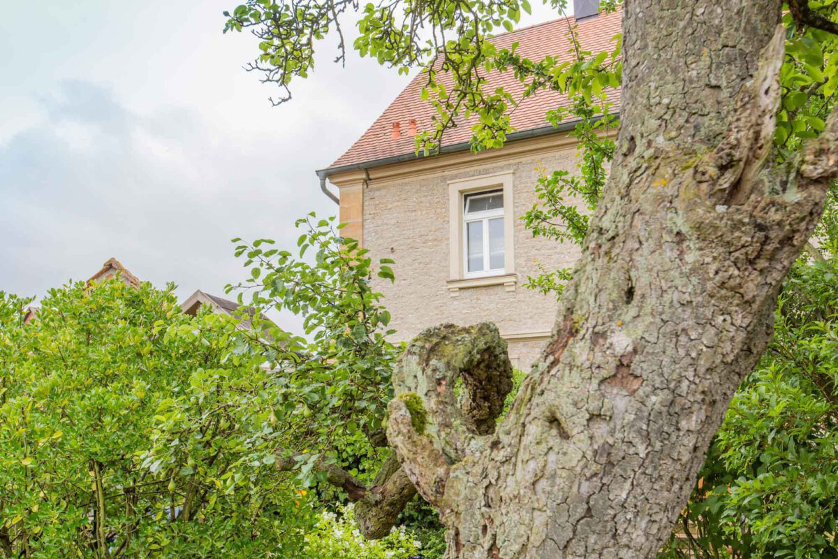 Detailaufnahme Sanierung Natursteinbau in Luelsfeld