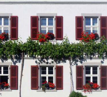Fensteransicht in Zeilitzheim